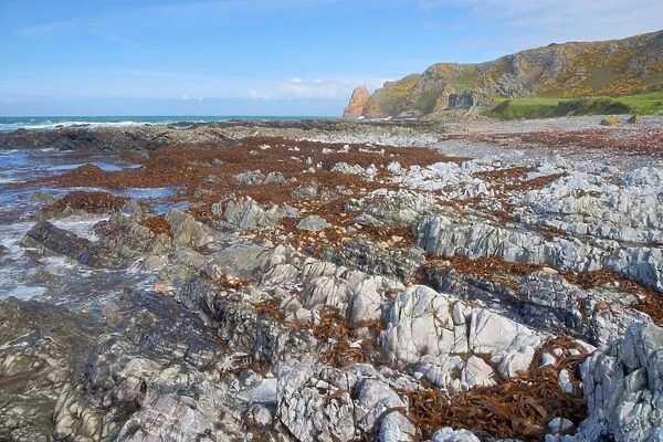 Rocky shore and cliffs at low tide, La Pulec, Jersey, Channel Islands, May