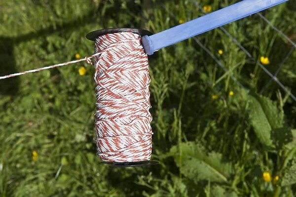 Roll of electric fence wire in pasture on farm, Scotland, June