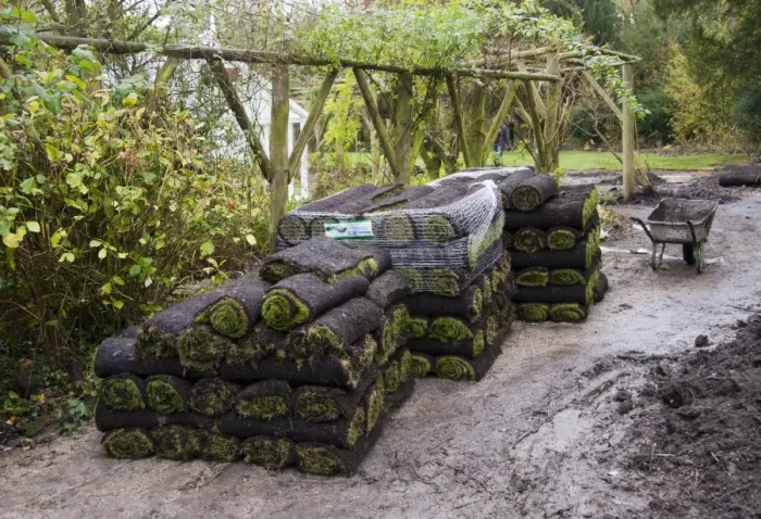Framed Print : Rolls of lawn turf for laying in garden, England, october Framed Print : Rolls of lawn turf for laying in garden, England, october
