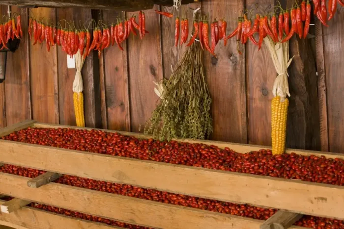 Framed Print : Rosehips, collected for drying for use in herbal tea and jams, with maize and chilli peppers, in old Saxon village