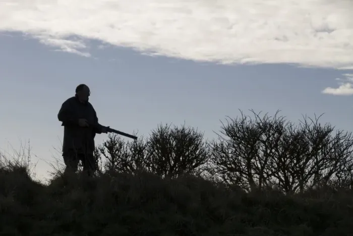 Framed Print : Rough shooting with a 12 bore shotgun