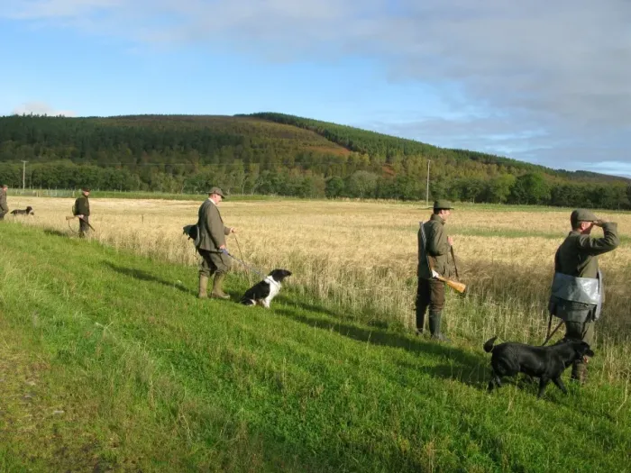 Framed Print : Rough shooting, men with dogs standing at field edge, Tulchan Estate, Speyside, Highlands, Scotland, october Framed Print : Rough shooting, men with dogs standing at field edge, Tulchan Estate, Speyside, Highlands, Scotland, october