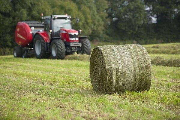 Round bale of silage in field, with tractor and round baler in background, Cheshire, England, September