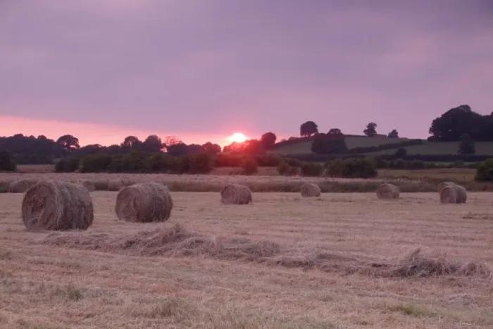 Framed Print : Round hay bales from harvested field of wild grasses at sunset, West Yorkshire, England, July Framed Print : Round hay bales from harvested field of wild grasses at sunset, West Yorkshire, England, July