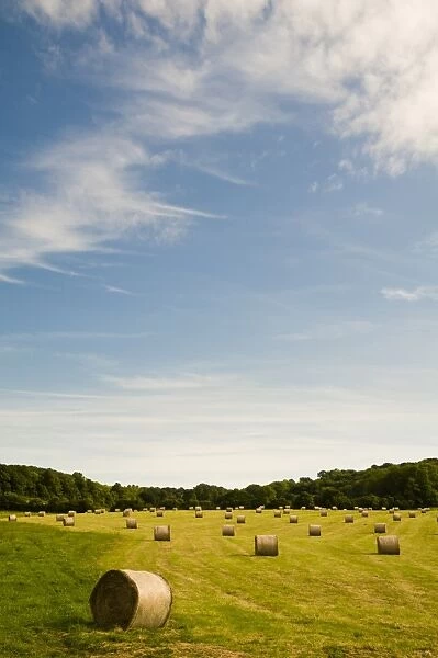 Round hay bales in meadow, Cudham, North Downs, Kent, England, august