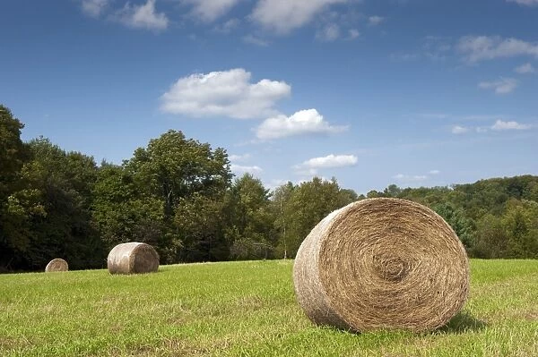 Round hay bales in meadow, Pennsylvania, U. S. A. september