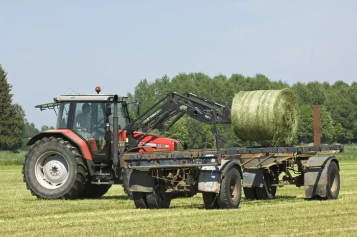 Framed Print : Round silage bales, loaded onto trailer by Massey Ferguson 6290 tractor with front loader, Sweden