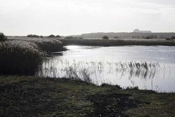RSPB Minsmere looking south from Island Mere Hide towards Sizewell nuclear power station