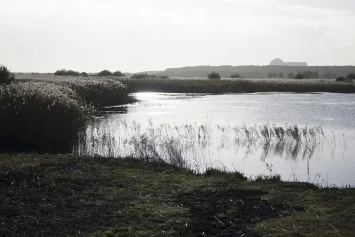 Framed Print : RSPB Minsmere looking south from Island Mere Hide towards Sizewell nuclear power station