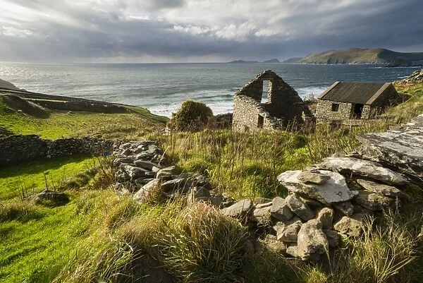 Ruined coastal dwelling and farm buildings, Coumeenole, Slea Head, Dingle Peninsula, County Kerry, Munster, Ireland