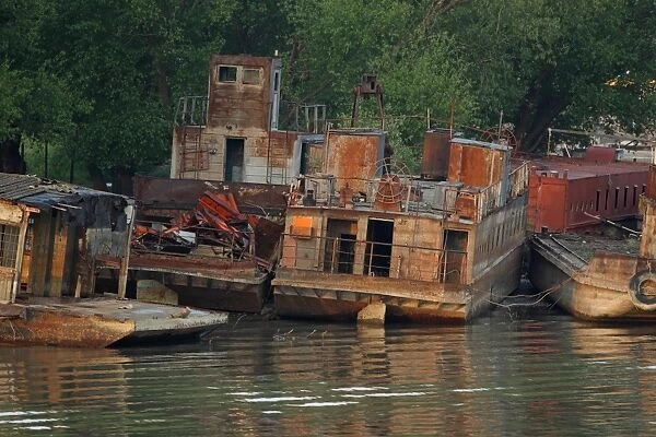 Rusting boats at edge of river, Tulcea, River Danube, Danube Delta, Dobrogea, Romania, may