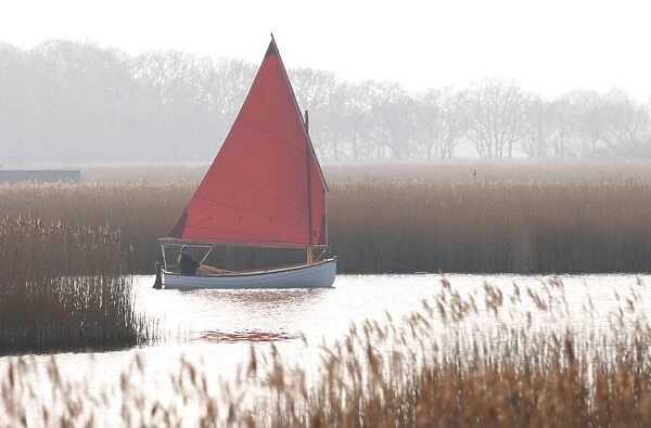 Sailing boat on open water beside reedbed, Hickling Broad, River Thurne, The Broads N. P. Norfolk, England, march