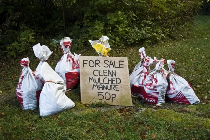 Framed Print : For Sale, clean mulched manure sign, with filled bags, Lulworth, Dorset, England, october Framed Print : For Sale, clean mulched manure sign, with filled bags, Lulworth, Dorset, England, october