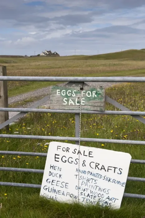 Framed Print : For Sale, Eggs and Crafts sign on farm gate, Isle of Tiree, Inner Hebrides, Scotland, August Framed Print : For Sale, Eggs and Crafts sign on farm gate, Isle of Tiree, Inner Hebrides, Scotland, August