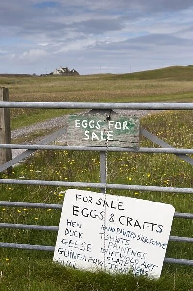 For Sale, Eggs and Crafts sign on farm gate, Isle of Tiree, Inner Hebrides, Scotland, August