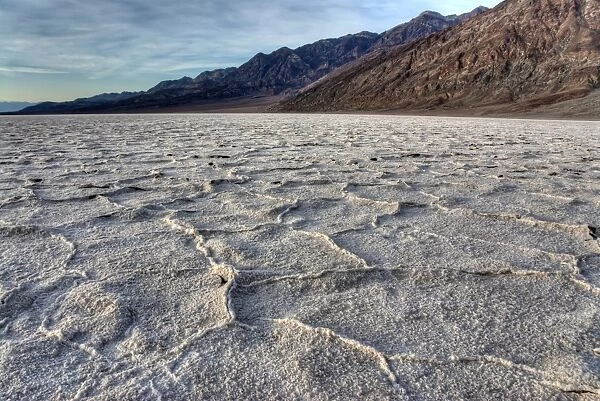 Salt flat with drying and expanding salt crystals, lowest point below sea level on continent, Badwater Basin