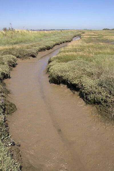 salt marsh drainage channel on Havergate Island, Suffolk