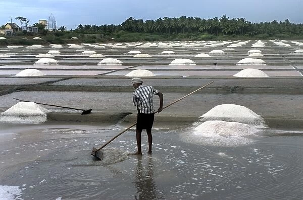Salt production, commercial saltpans with worker, Kanyakumari, Tamil Nadu, India