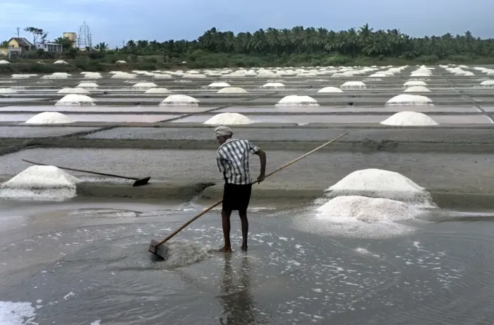 Framed Print : Salt production, commercial saltpans with worker, Kanyakumari, Tamil Nadu, India Framed Print : Salt production, commercial saltpans with worker, Kanyakumari, Tamil Nadu, India