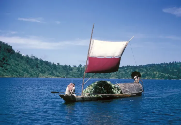 Framed Print : sampan transport boat in Bangladesh moving bananas, taken in the 1960s by Eric Hosking when the country was known as