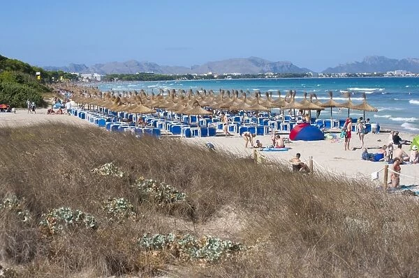 Sand dunes behind tourist beach with sunloungers and beach umbrellas, Muro, Alcudia, Majorca, Balearic Islands, Spain