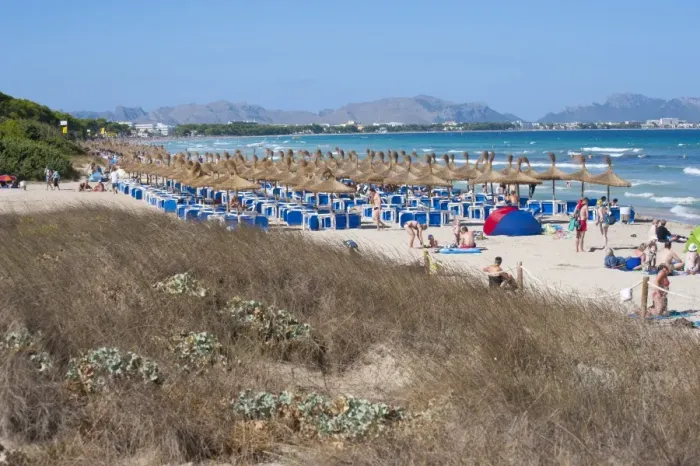 Framed Print : Sand dunes behind tourist beach with sunloungers and beach umbrellas, Muro, Alcudia, Majorca, Balearic Islands, Spain
