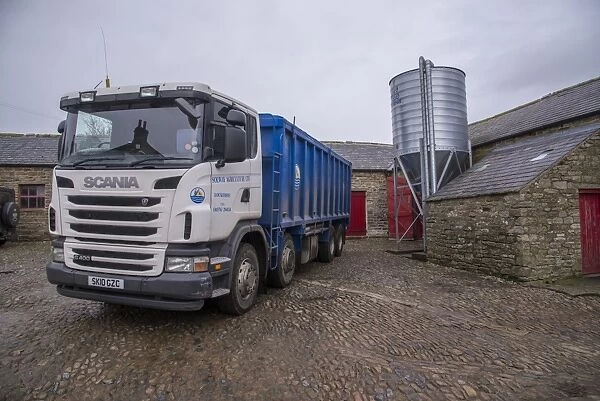 Scania lorry delivering feed to farm, Northumberland, England, January