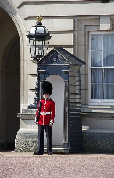 Scots Guards guardsman in ceremonial uniform, standing guard beside sentry-box, Buckingham Palace, City of Westminster