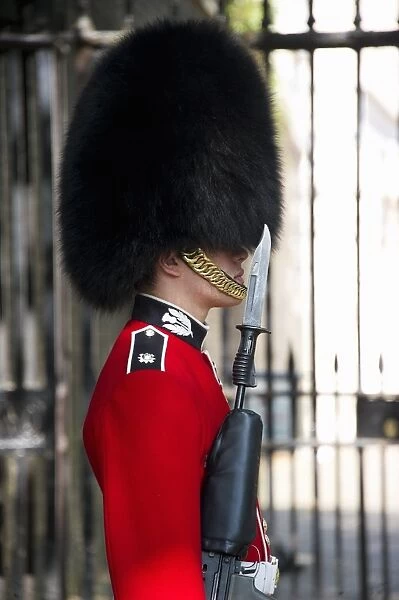 Scots Guards guardsman in ceremonial uniform, The Mall, City of Westminster, London, England, april