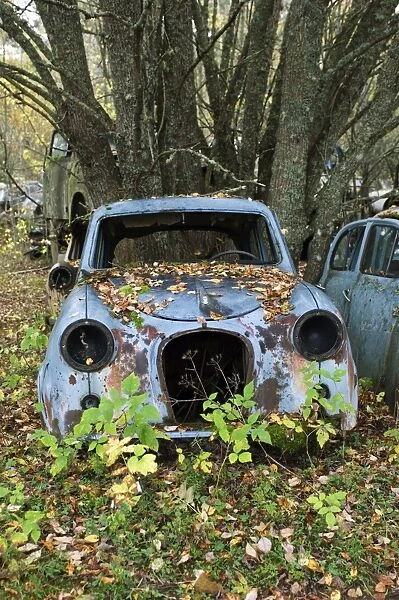 Scrap car in forest, Sweden