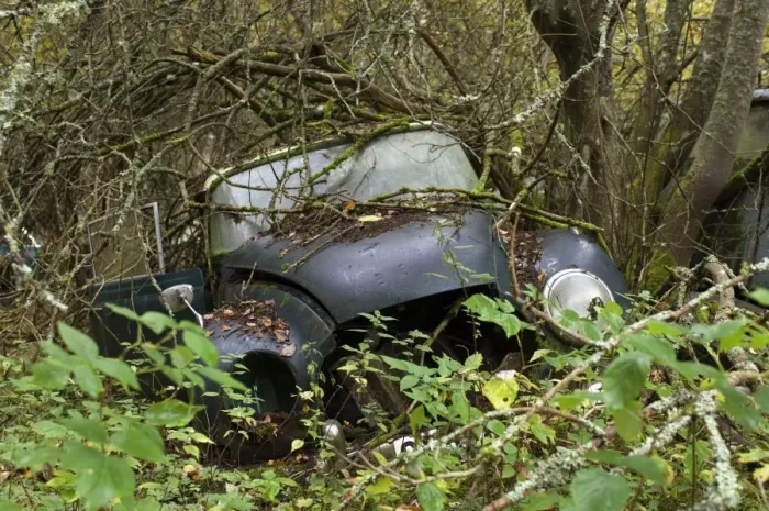 Framed Print : Scrap car (old Dampf-Kraft-Wagen) in forest, Sweden Framed Print : Scrap car (old Dampf-Kraft-Wagen) in forest, Sweden