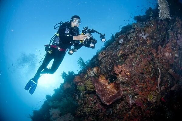 Scuba diver with underwater camera equipment, swimming over coral wall at caldera dive site, Mount Komba