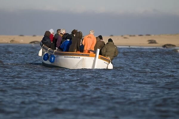 Seal watchers in boat, Blakeney, Norfolk, England, november