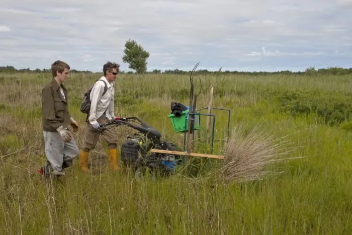 Framed Print : Sedge cutting with machine in marshland, Sutton Fen RSPB Reserve, The Broads, Norfolk, England, July Framed Print : Sedge cutting with machine in marshland, Sutton Fen RSPB Reserve, The Broads, Norfolk, England, July