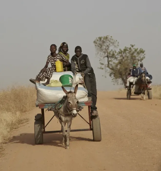 Framed Print : Senegalese children riding donkey pulled cart along road to nearby market, near Toubacouta, Senegal, january Framed Print : Senegalese children riding donkey pulled cart along road to nearby market, near Toubacouta, Senegal, january