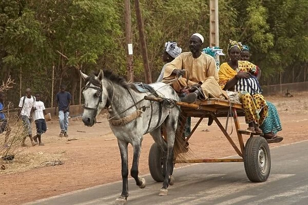 Senegalese family riding horse pulled cart, Kaolack, Senegal, january