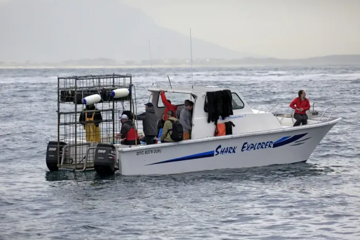 Framed Print : Shark Explorer shark watching boat with dive cage, Simonstown, Western Cape, South Africa, June Framed Print : Shark Explorer shark watching boat with dive cage, Simonstown, Western Cape, South Africa, June