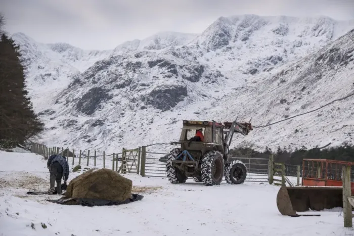 Framed Print : Sheep farming, tractor and silage bale for feed in snow covered upland pasture, Elmhow Farm, Grisedale, Lake District Framed Print : Sheep farming, tractor and silage bale for feed in snow covered upland pasture, Elmhow Farm, Grisedale, Lake District