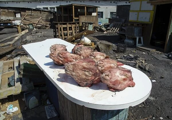 Sheep heads, meat known as smileys, Langa Township, Cape Town, Western Cape, South Africa