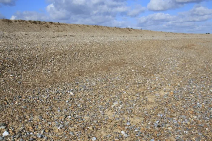 Framed Print : Shingle beach habitat with relict storm beach ridge, The Haven, Thorpeness, Suffolk, England, february Framed Print : Shingle beach habitat with relict storm beach ridge, The Haven, Thorpeness, Suffolk, England, february