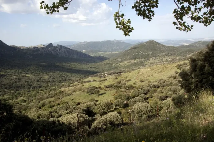 Framed Print : Sierra de Grazalema - Andalucia, Spain