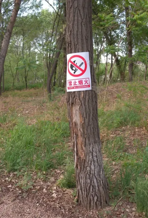 Framed Print : Sign warning of fire danger, on tree trunk in forest, Zushan Forest Park, Qinhuangdao, China, may Framed Print : Sign warning of fire danger, on tree trunk in forest, Zushan Forest Park, Qinhuangdao, China, may