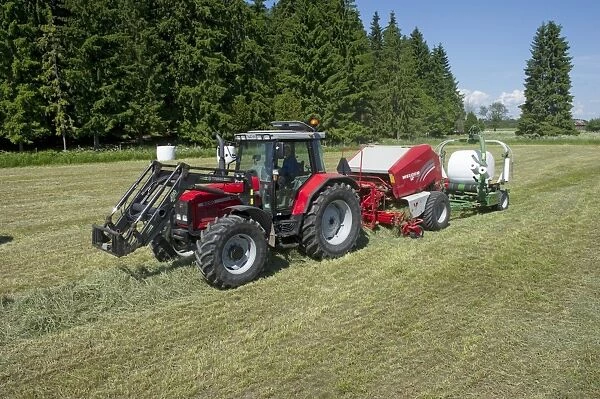 Silage crop, Massey Ferguson tractor with round baler and bale-wrapper, baling and plastic wrapping bales in field