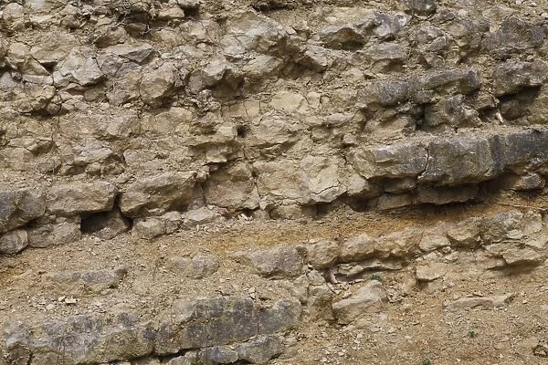 Silurian limestone in quarry, showing bedding, Wenlock Edge, Shropshire, England, April