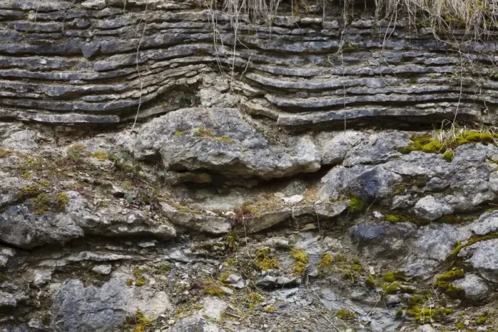 Framed Print : Silurian limestone in quarry, showing layered bedding over reef formation, Knowle Quarry, Wenlock Edge, Shropshire