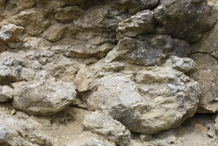 Framed Print : Silurian limestone in quarry, showing reef formation, Wenlock Edge, Shropshire, England, April Framed Print : Silurian limestone in quarry, showing reef formation, Wenlock Edge, Shropshire, England, April