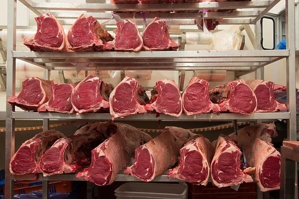 Sirloin joints of beef in abattoir, Yorkshire, England, February