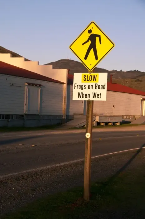 Framed Print : Slow, Frogs on Road When Wet sign on road verge, Marin Headlands, Golden Gate National Recreation Area Framed Print : Slow, Frogs on Road When Wet sign on road verge, Marin Headlands, Golden Gate National Recreation Area