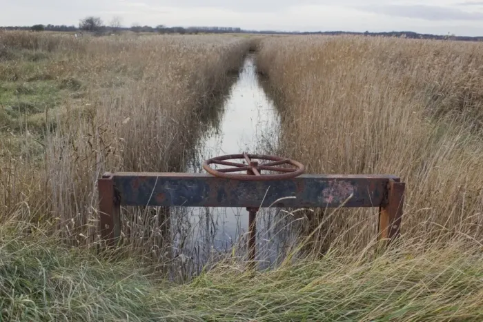 Framed Print : Sluice gate in reedbed dyke, Minsmere RSPB Reserve, Suffolk, England, november Framed Print : Sluice gate in reedbed dyke, Minsmere RSPB Reserve, Suffolk, England, november