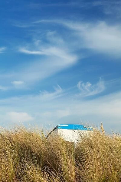 Small fishing boat amongst Marram Grass (Ammophila arenaria) under blue sky with cirrus clouds, Old Grimsby, Tresco